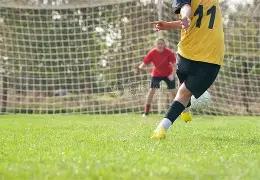 东契奇加盟,四大防守悍,芬尼史密斯,广州赛马场,广州赛马,赛马俱乐部,马术资讯