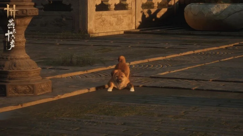 年哥伦比亚,女足世界杯,简介,广州赛马场,广州赛马,赛马俱乐部,马术资讯