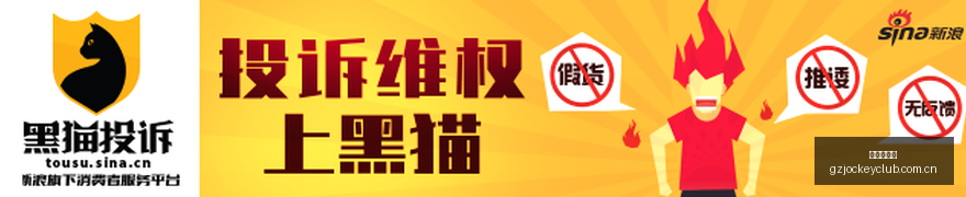 独家半导体,产业大突破,海力士中国,广州赛马场,广州赛马,赛马俱乐部,马术资讯