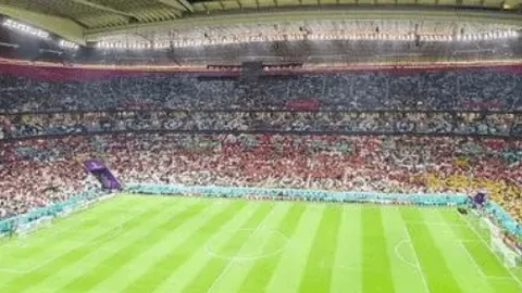 张雨霏两会对话：运动与快乐童年