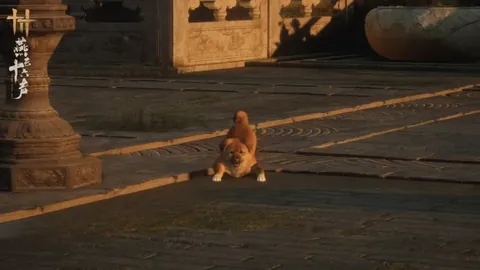 “2025年哥伦比亚女足世界杯简介”